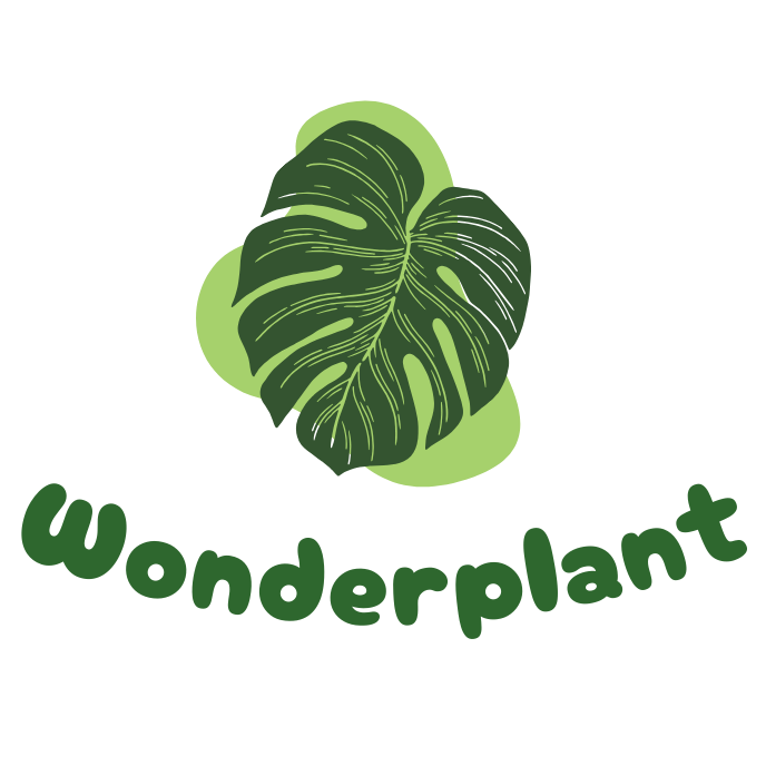 Wonderplant Store