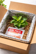 Winter Shipping  Protection